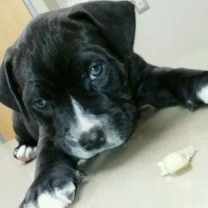 Meet your Posher, Cathy